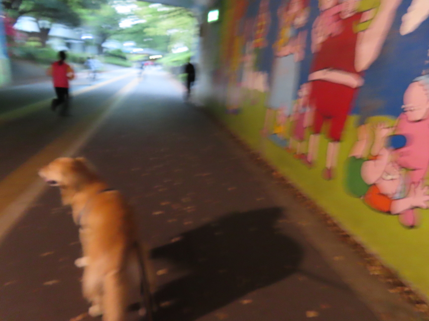 ファイル 8543-2.jpg