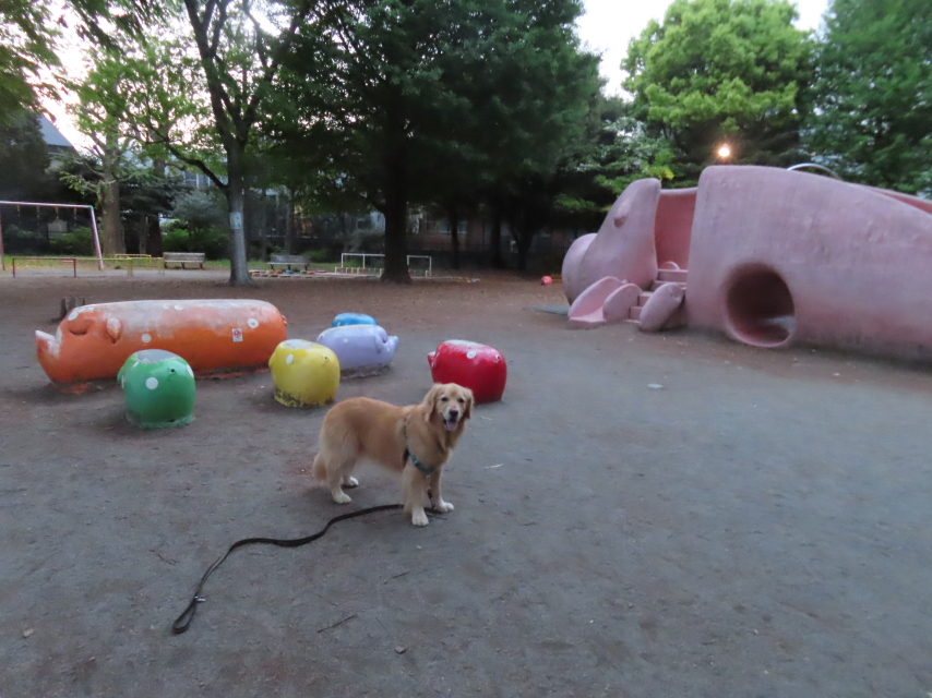 ファイル 8543-5.jpg