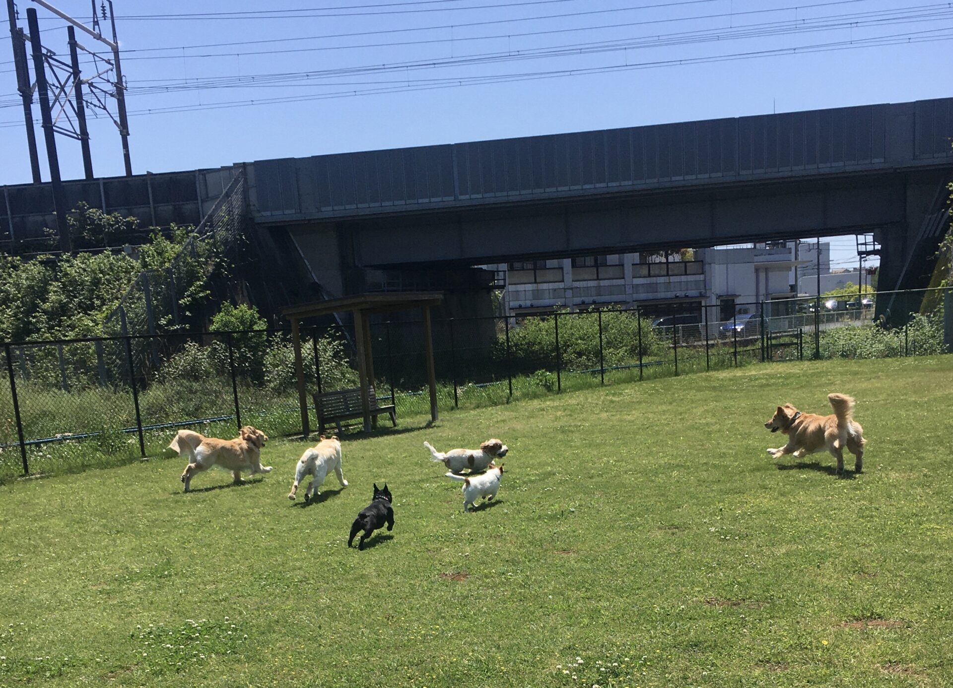 ファイル 8548-1.jpeg