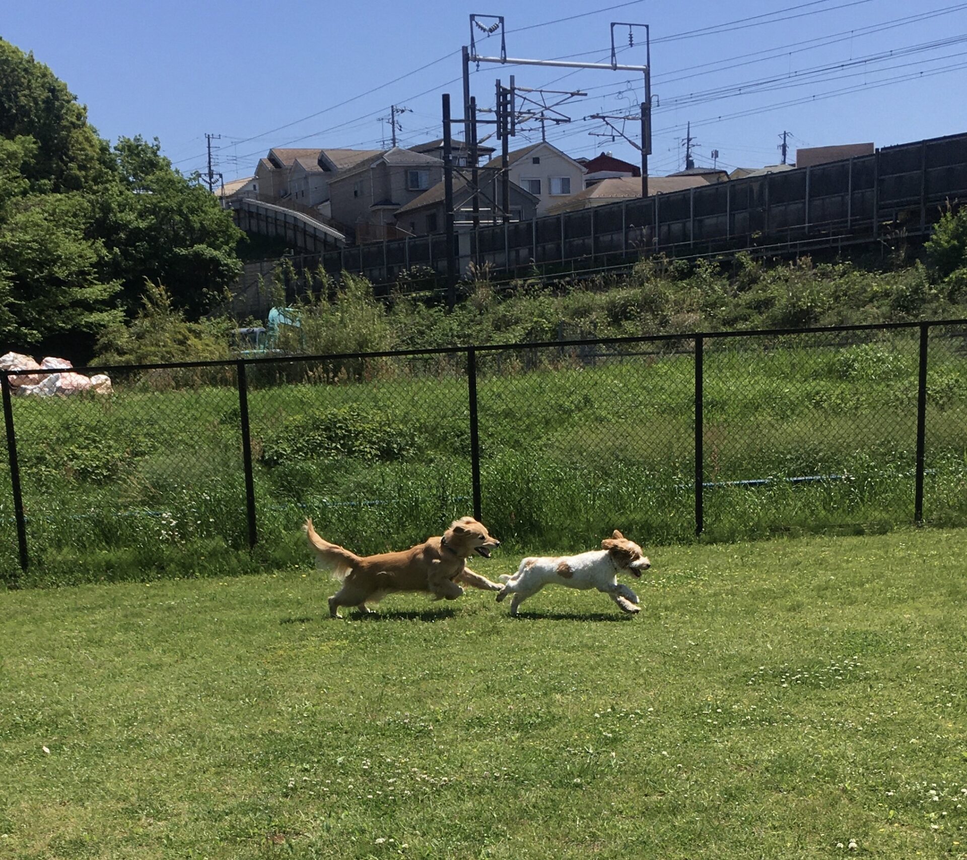 ファイル 8548-2.jpeg