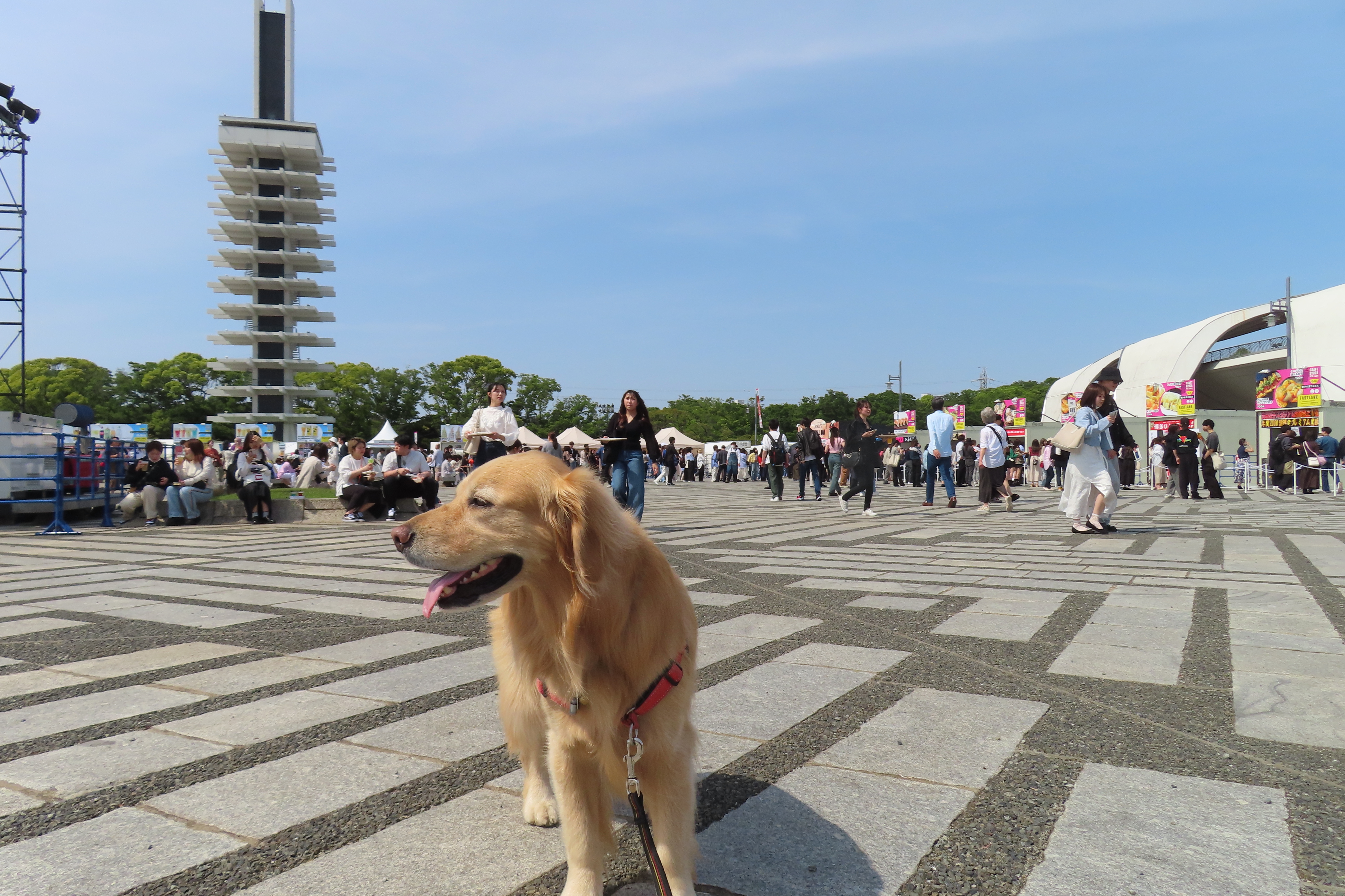 ファイル 8549-3.jpg