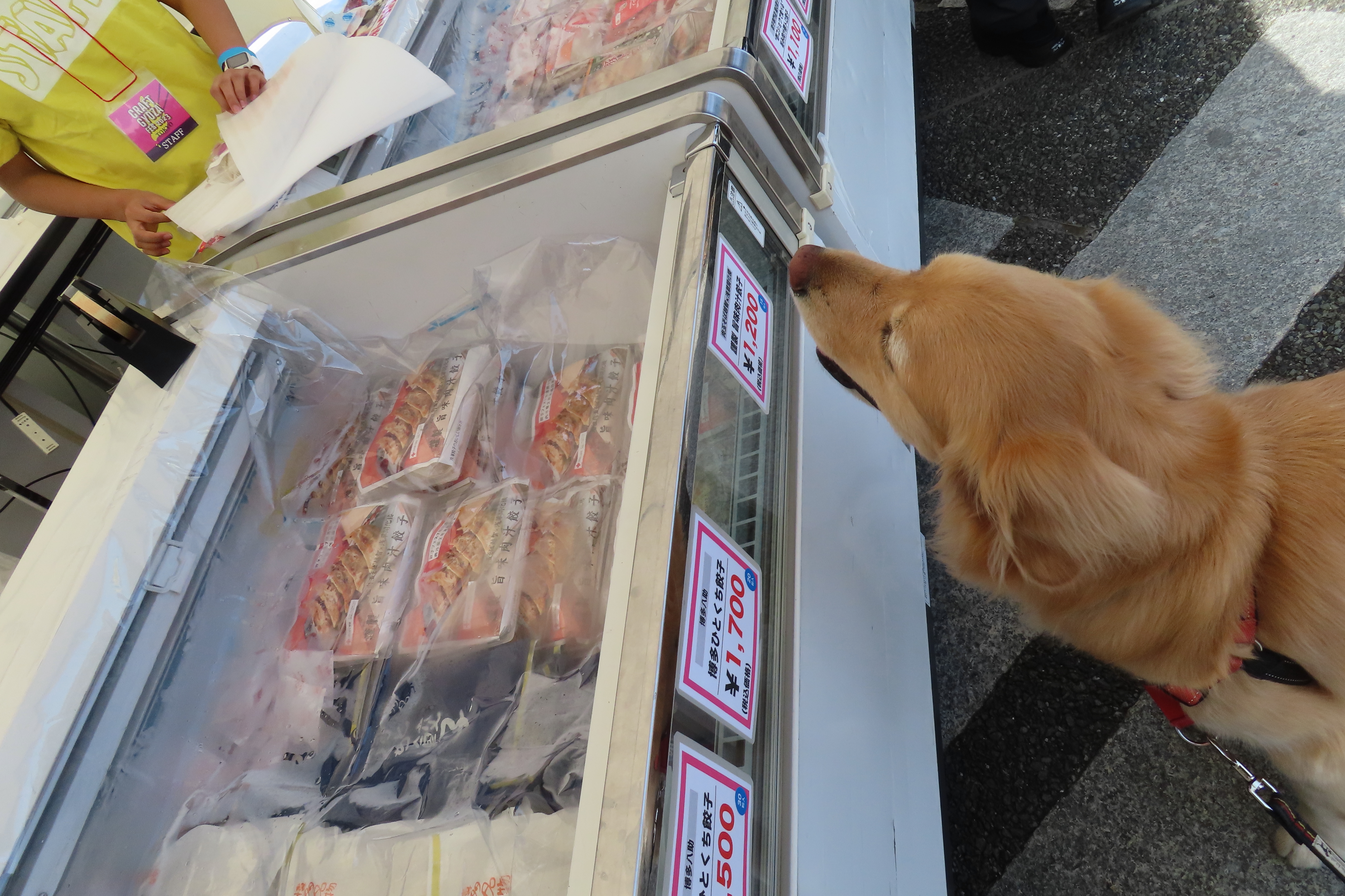 ファイル 8549-5.jpg