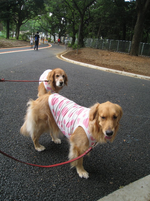 ファイル 855-1.jpg