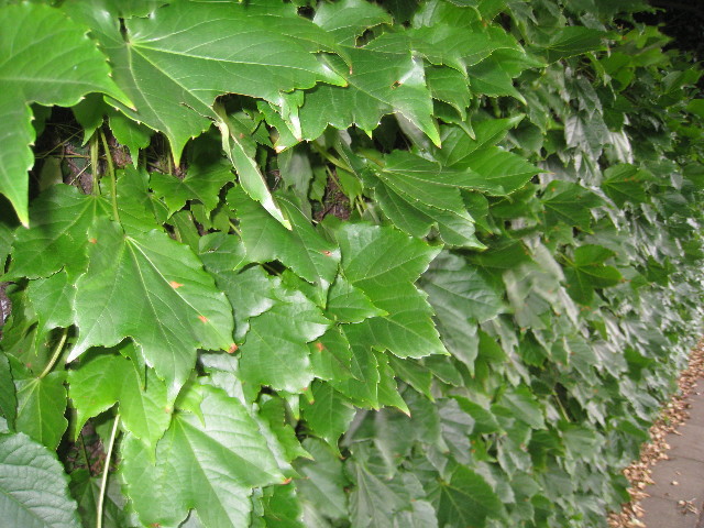 ファイル 855-2.jpg