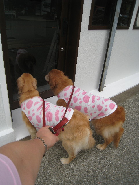 ファイル 855-3.jpg