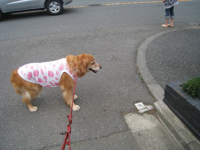 ファイル 855-4.jpg