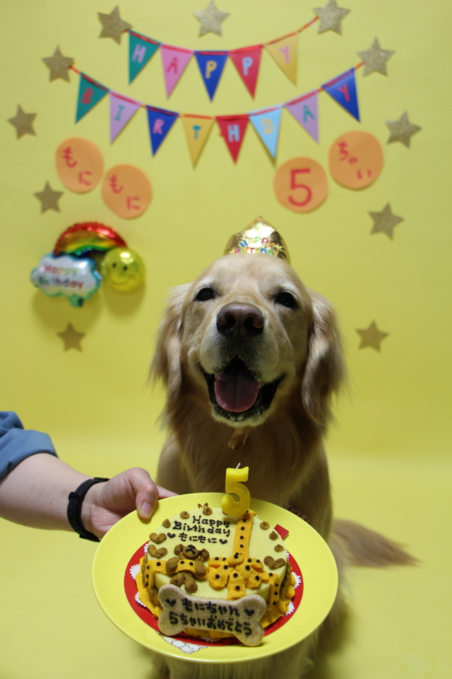 ファイル 8550-3.jpg