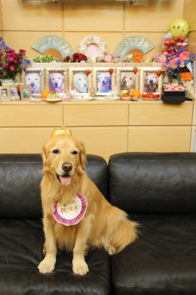 ファイル 8550-5.jpg