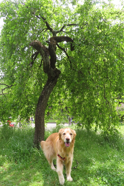 ファイル 8551-3.jpg