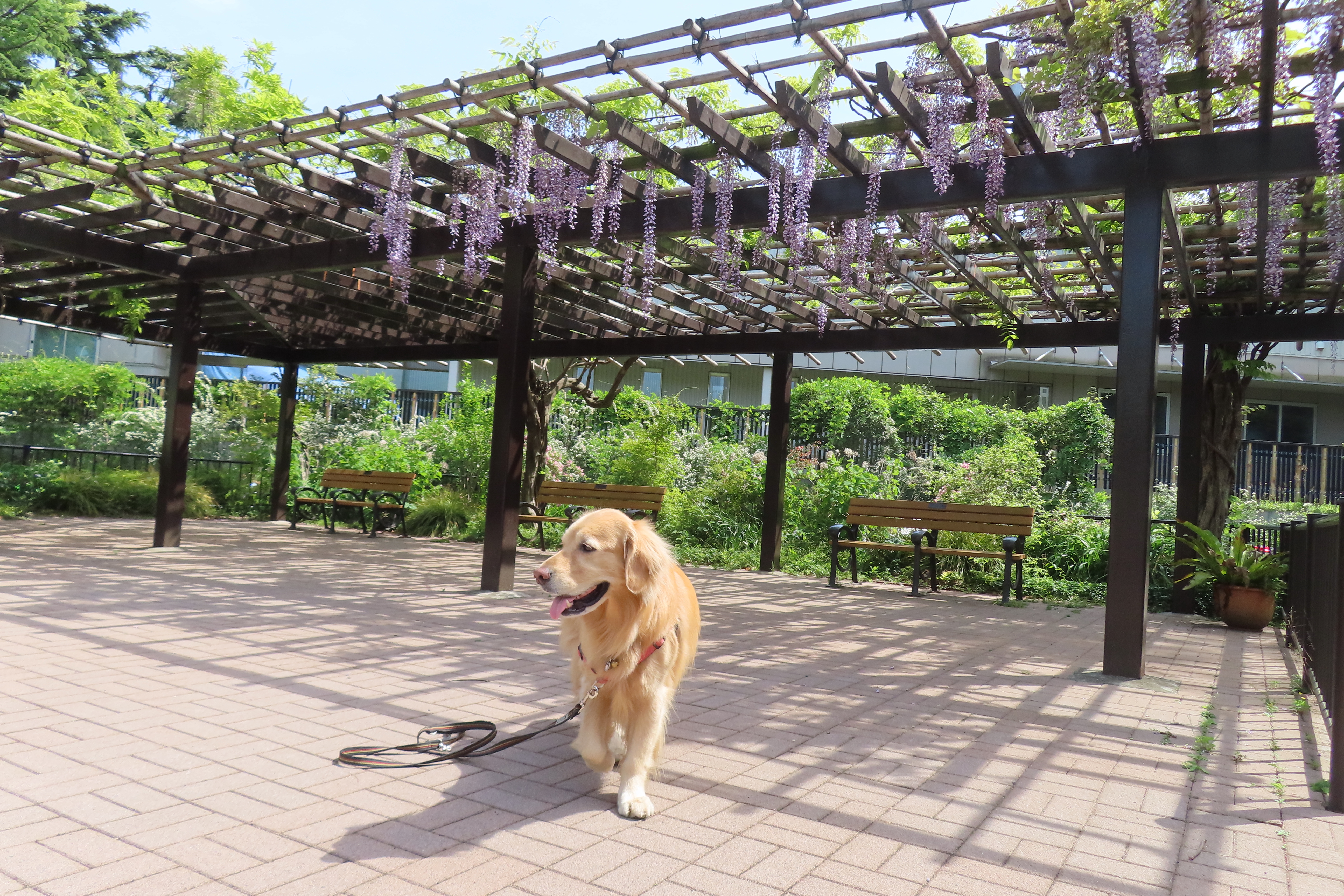 ファイル 8551-5.jpg