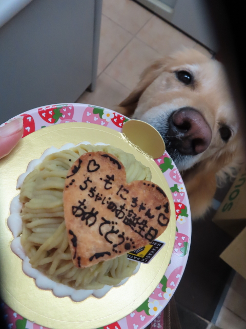 ファイル 8552-2.jpg