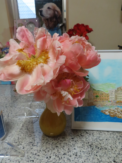 ファイル 8552-3.jpg