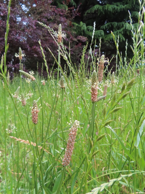 ファイル 8552-5.jpg