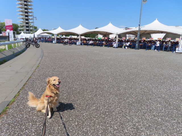 ファイル 8553-1.jpg