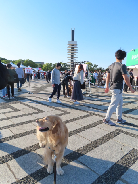 ファイル 8553-2.jpg