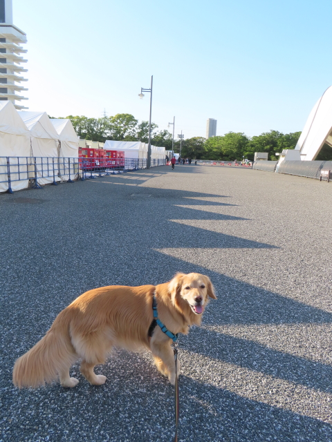 ファイル 8553-3.jpg