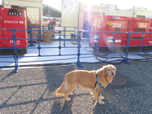 ファイル 8553-4.jpg