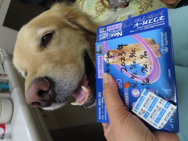 ファイル 8554-5.jpg