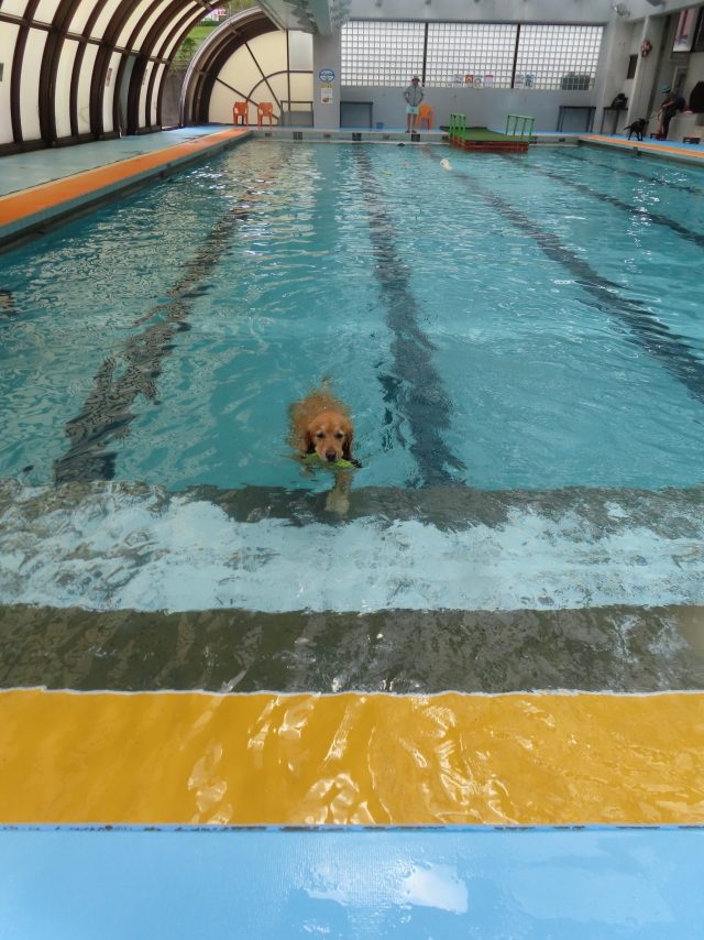 ファイル 8555-1.jpg