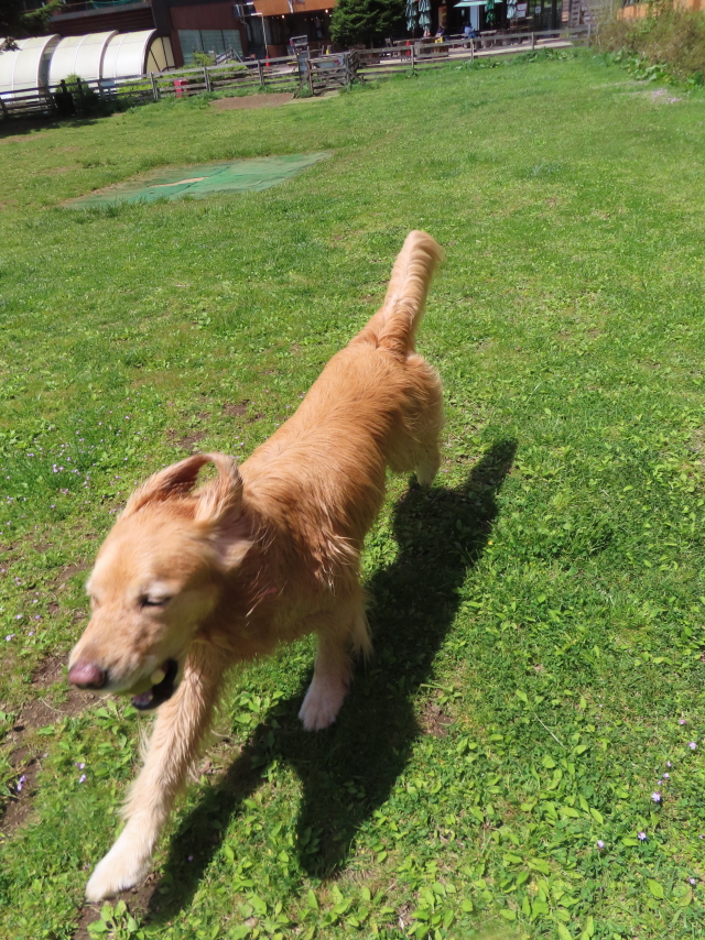 ファイル 8555-3.jpg