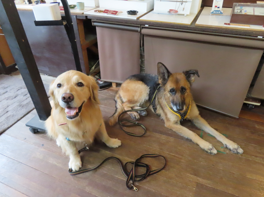 ファイル 8556-1.jpg