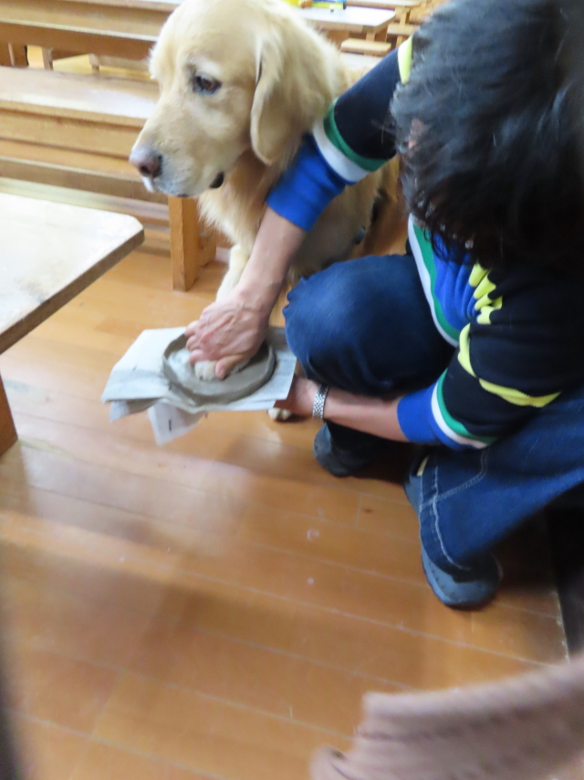 ファイル 8556-2.jpg