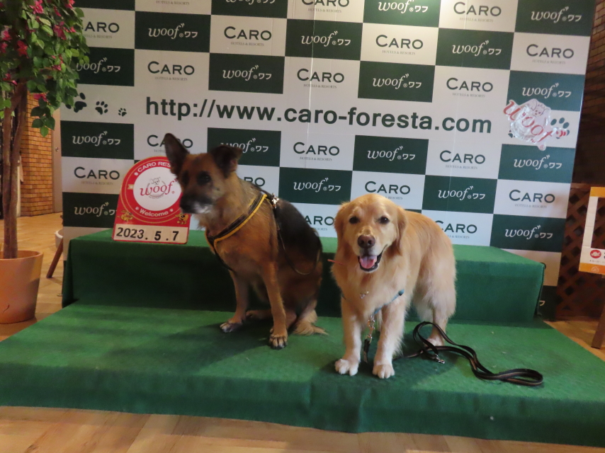 ファイル 8556-5.jpg