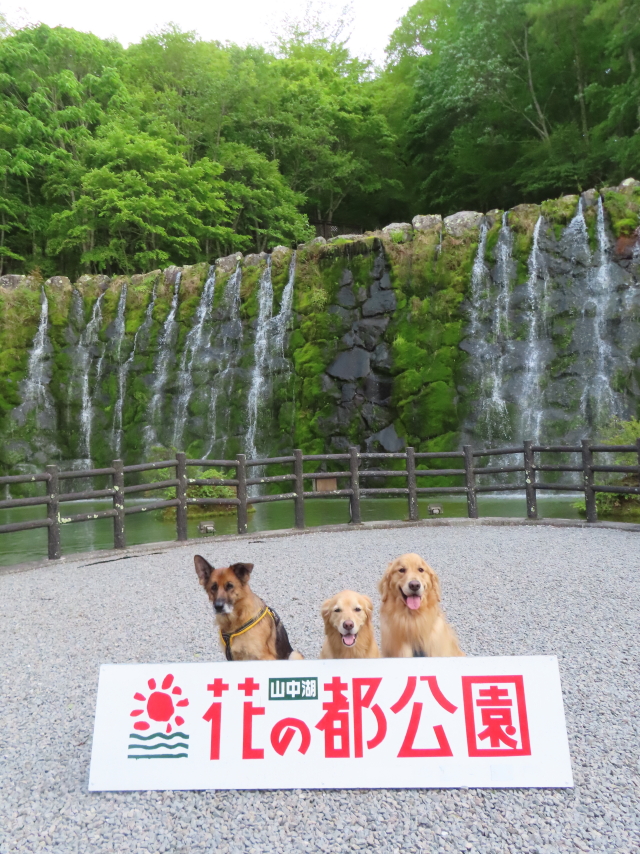 ファイル 8557-5.jpg