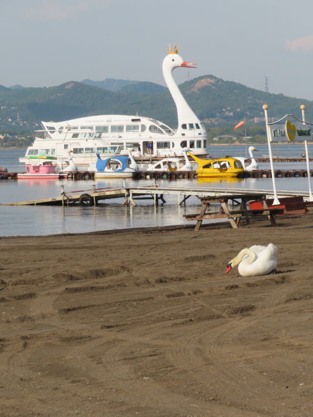 ファイル 8559-2.jpg