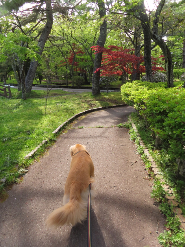 ファイル 8559-4.jpg