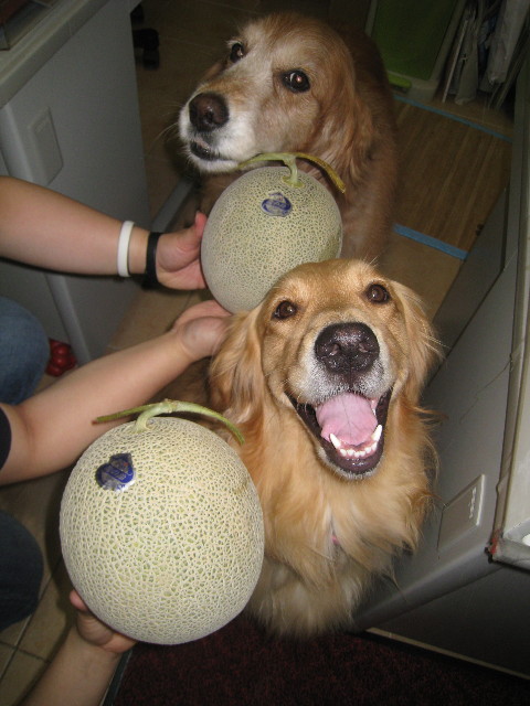 ファイル 856-1.jpg