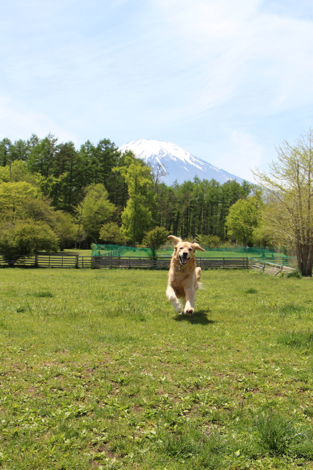 ファイル 8560-1.jpg