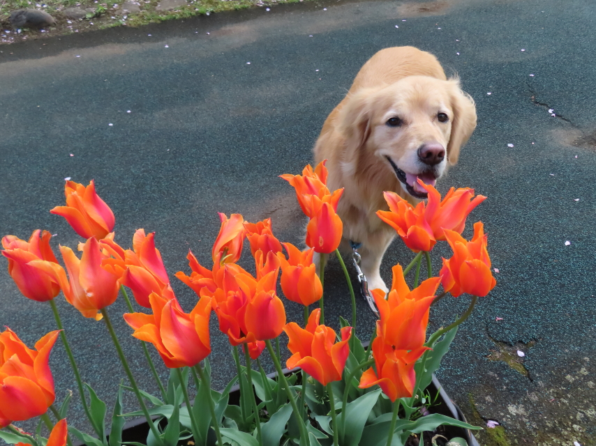 ファイル 8560-5.jpg