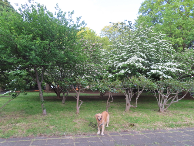 ファイル 8562-1.jpg