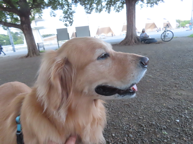 ファイル 8562-3.jpg