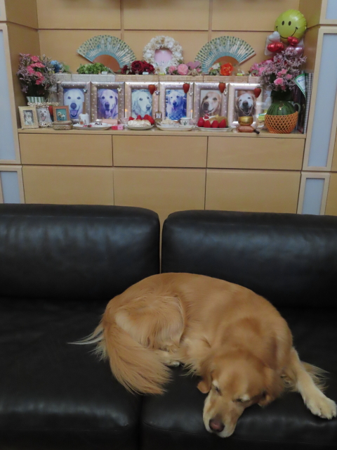 ファイル 8563-1.jpg