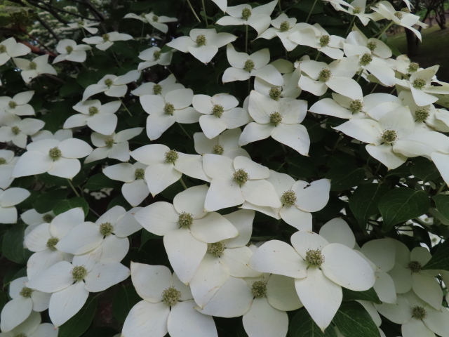 ファイル 8563-4.jpg