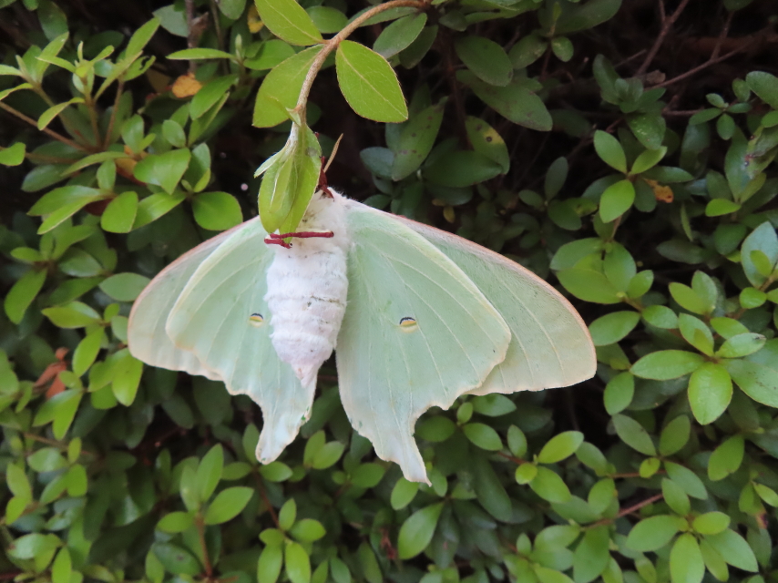 ファイル 8565-3.jpg