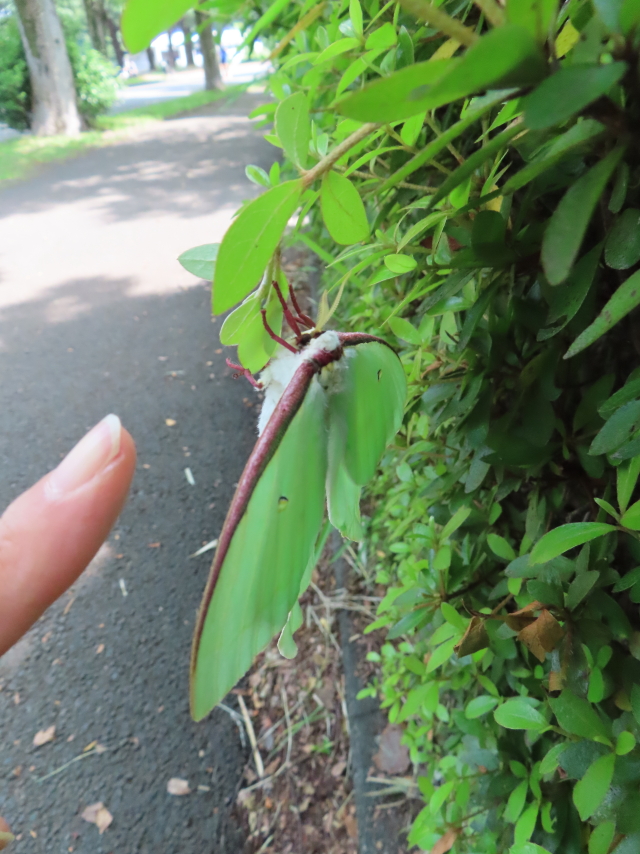 ファイル 8565-4.jpg