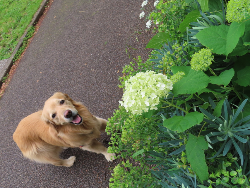 ファイル 8566-1.jpg