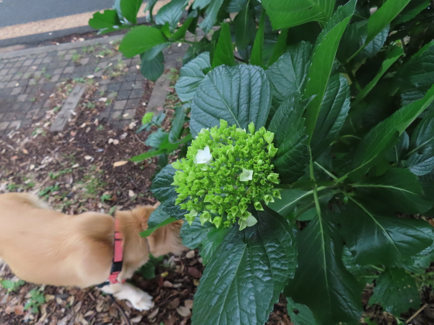 ファイル 8566-3.jpg