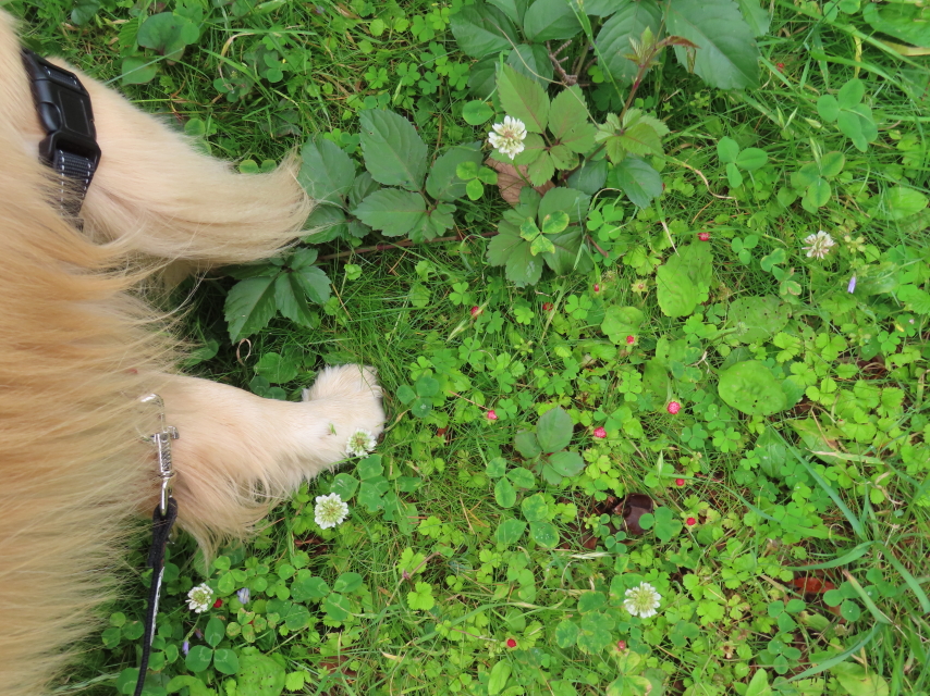 ファイル 8566-4.jpg