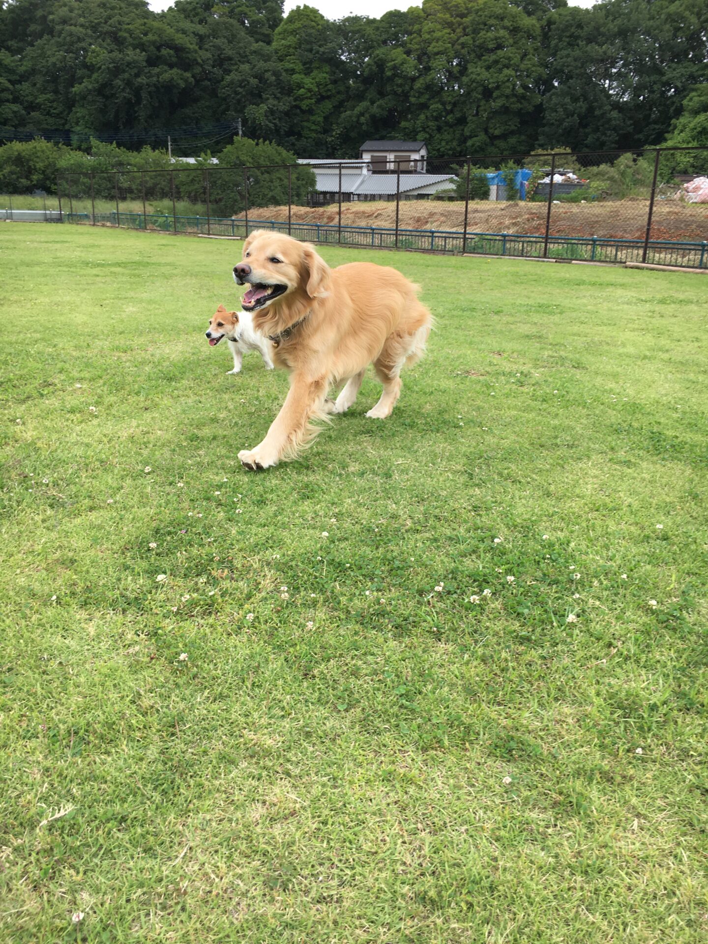 ファイル 8567-1.jpeg