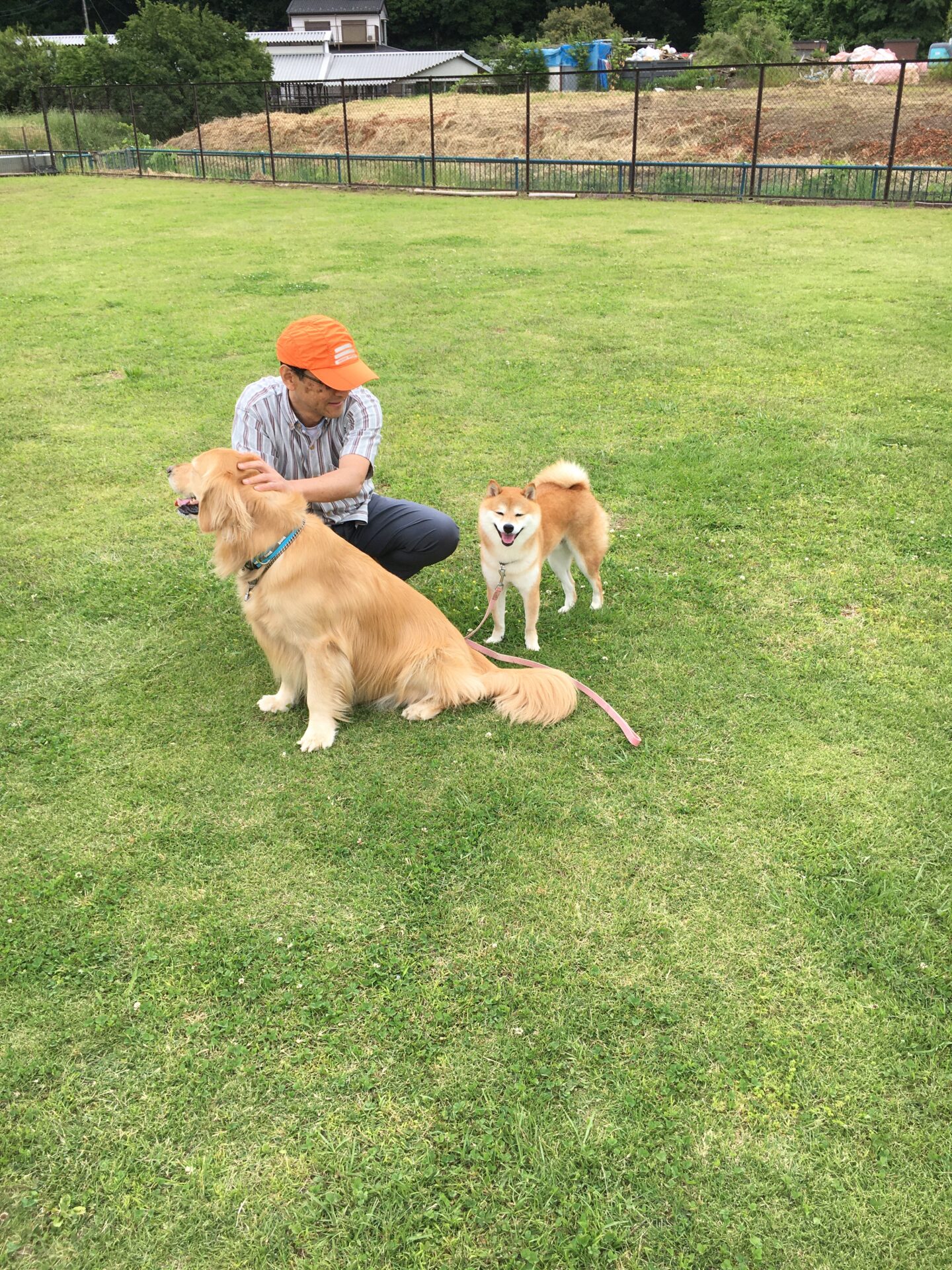 ファイル 8567-4.jpeg