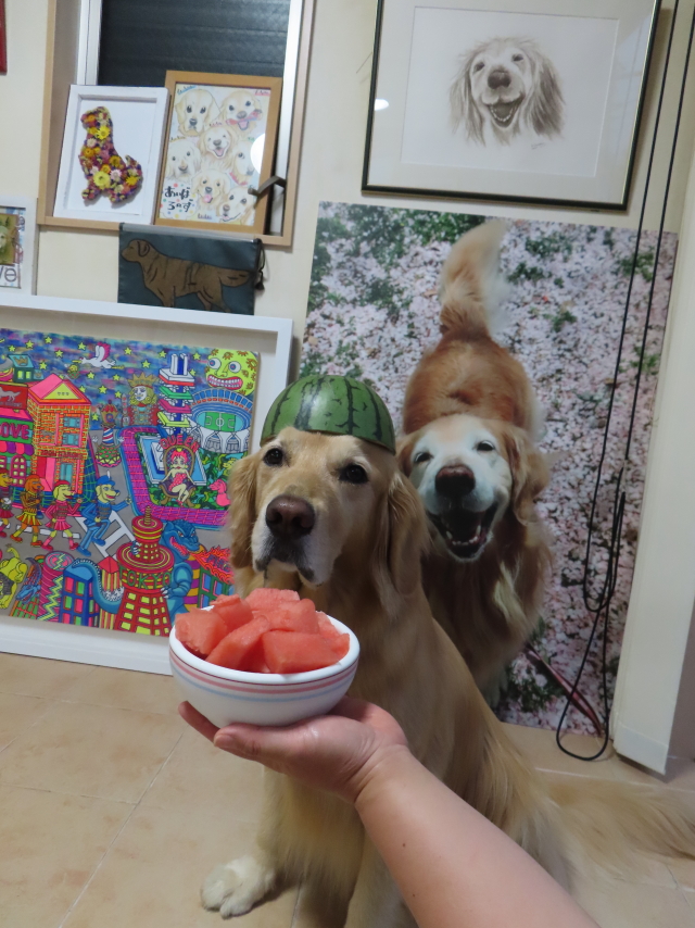 ファイル 8568-1.jpg