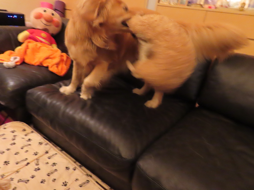 ファイル 8569-2.jpg