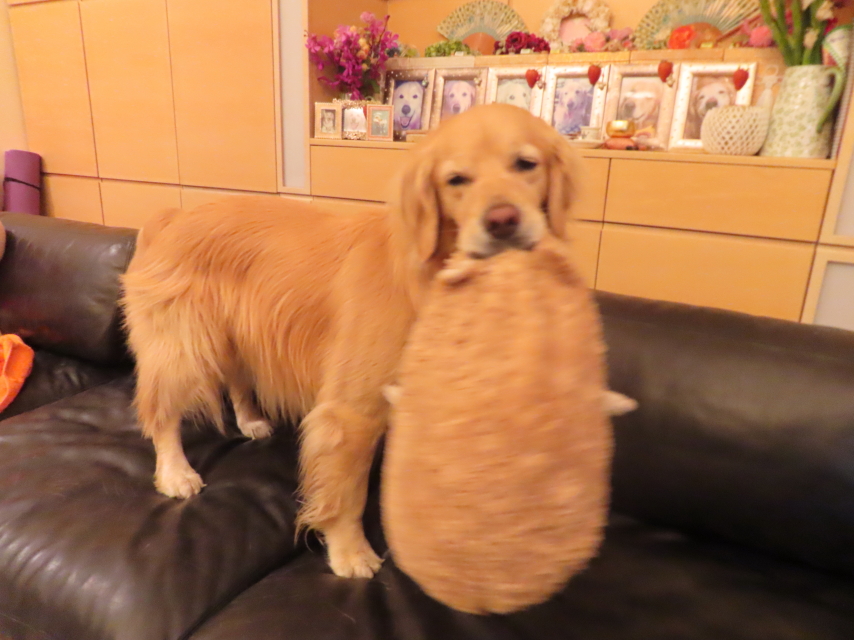 ファイル 8569-3.jpg