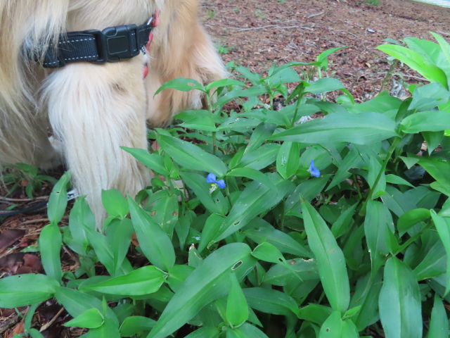 ファイル 8569-4.jpg