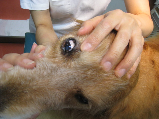 ファイル 857-2.jpg