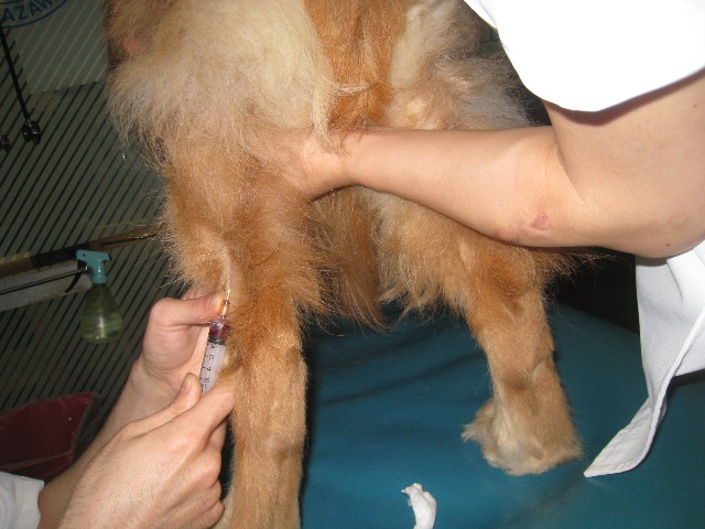 ファイル 857-4.jpg